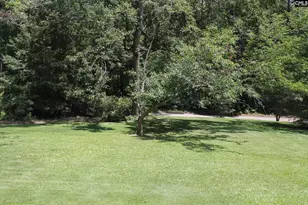 155 Pinewood Dr, Chapin, SC 29036 - Photo 31