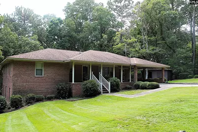 155 Pinewood Drive, Chapin, SC 29036 - Photo 3