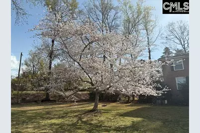 101 Brookgreen Drive, Lexington, SC 29072 - Photo 75