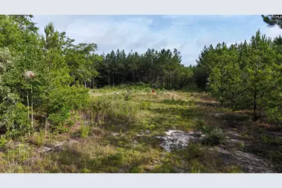 3091 Arcadia Road, Bethune, SC 29009 - Photo 3