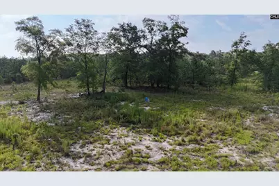 3091 Arcadia Road, Bethune, SC 29009 - Photo 5