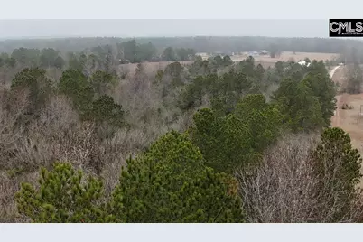 9 Sawmill Road, Westville, SC 29067 - Photo 7