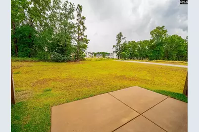 216 Flatsedge Court, Lexington, SC 29072 - Photo 19