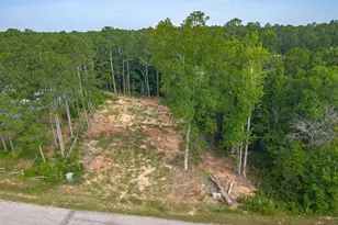 Harbor Point Dr, Jenkinsville, SC 29065 - Photo 5