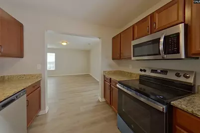 248 Eagle Pointe Drive, Chapin, SC 29036 - Photo 7