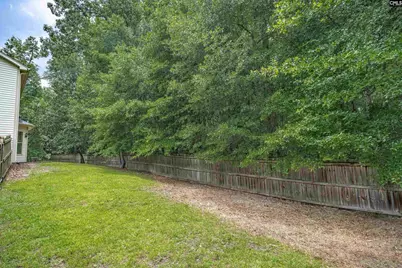 455 Coopers Edge Lane, Blythewood, SC 29016 - Photo 45
