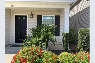 341 Dawsons Park Drive, Lexington, SC 29072 - Photo 9