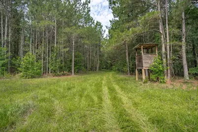 187 Peach Tree Street, Ward, SC 29166 - Photo 27