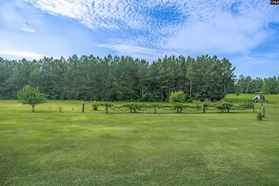 187 Peach Tree Street, Ward, SC 29166 - Photo 11