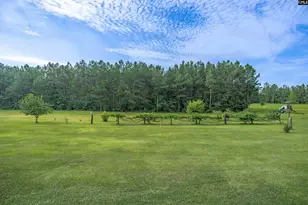 187 Peach Tree St, Ward, SC 29166 - Photo 11