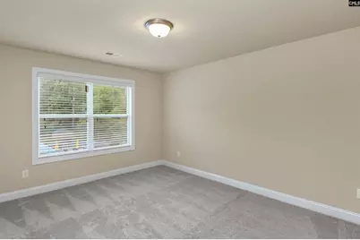 769 Dutchmans Branch Court, Irmo, SC 29063 - Photo 47