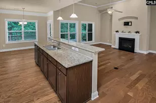 769 Dutchmans Branch Ct, Irmo, SC 29063 - Photo 17