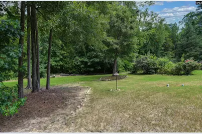 769 Dutchmans Branch Court, Irmo, SC 29063 - Photo 69