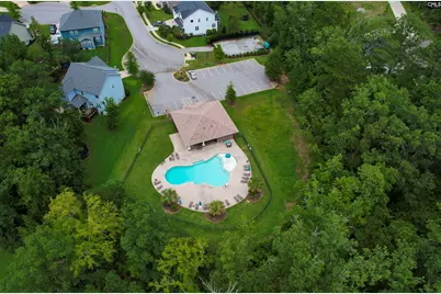 603 Riverdale Court, Chapin, SC 29036 - Photo 39