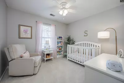 229 Red Barn Road, Lexington, SC 29072 - Photo 27