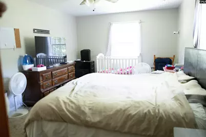 424 Willis Street, Batesburg, SC 29006 - Photo 17