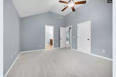 454 Hollow Cove Road, Chapin, SC 29036 - Photo 47