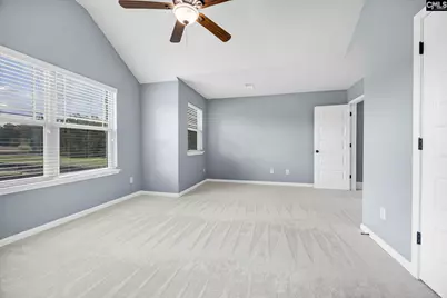 454 Hollow Cove Road, Chapin, SC 29036 - Photo 51