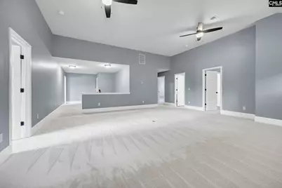 454 Hollow Cove Road, Chapin, SC 29036 - Photo 49