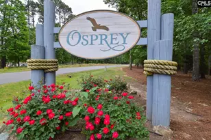 437 Lanyard Ln, Chapin, SC 29036 - Photo 33