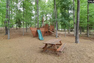 437 Lanyard Lane, Chapin, SC 29036 - Photo 31