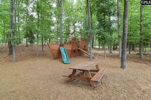 437 Lanyard Ln, Chapin, SC 29036 - Photo 31