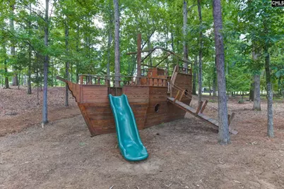 437 Lanyard Lane, Chapin, SC 29036 - Photo 37