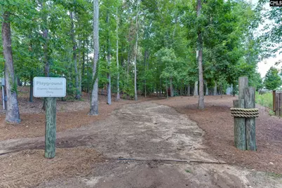 437 Lanyard Lane, Chapin, SC 29036 - Photo 29