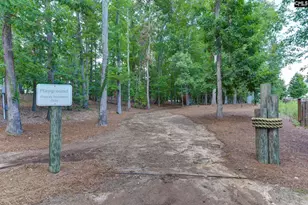 437 Lanyard Ln, Chapin, SC 29036 - Photo 29