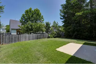 437 Lanyard Lane, Chapin, SC 29036 - Photo 25