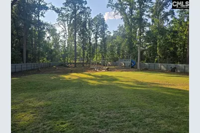 1348 Dreher Island Road, Chapin, SC 29036 - Photo 11