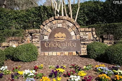 8 Oakmist Court, Blythewood, SC 29016 - Photo 41