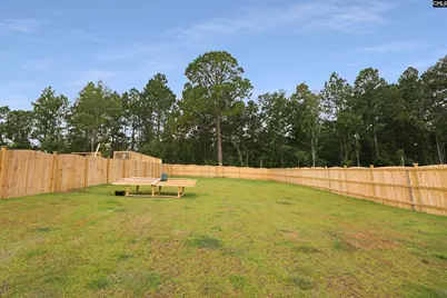 235 Hazel Rain Road, Gaston, SC 29053 - Photo 3