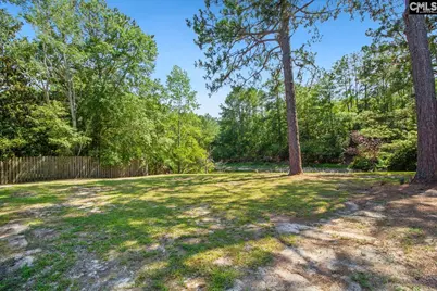 417 Sesqui Trail, Columbia, SC 29223 - Photo 23