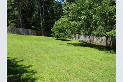 36 Ash Court, Irmo, SC 29063 - Photo 61