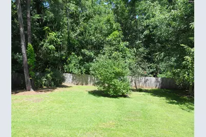 36 Ash Court, Irmo, SC 29063 - Photo 59