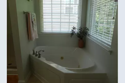 36 Ash Court, Irmo, SC 29063 - Photo 47