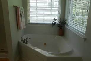 36 Ash Ct, Irmo, SC 29063 - Photo 47