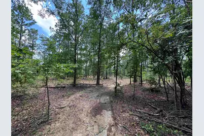 1465 6 Highway, Gaston, SC 29053 - Photo 75