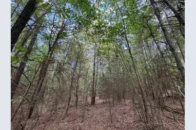 1465 6 Highway, Gaston, SC 29053 - Photo 35