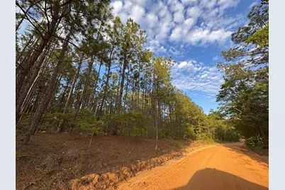 1465 6 Highway, Gaston, SC 29053 - Photo 41