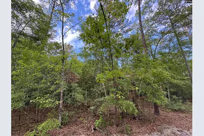 1465 6 Highway, Gaston, SC 29053 - Photo 19