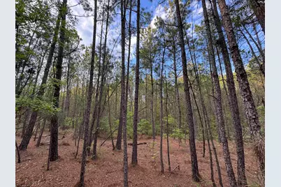 1465 6 Highway, Gaston, SC 29053 - Photo 27