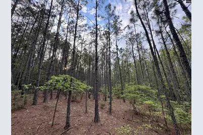 1465 6 Highway, Gaston, SC 29053 - Photo 39