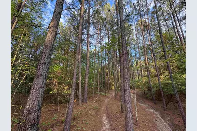 1465 6 Highway, Gaston, SC 29053 - Photo 23