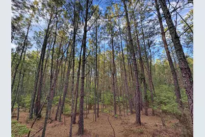 1465 6 Highway, Gaston, SC 29053 - Photo 29
