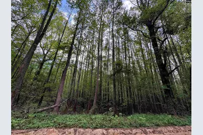 1465 6 Highway, Gaston, SC 29053 - Photo 43