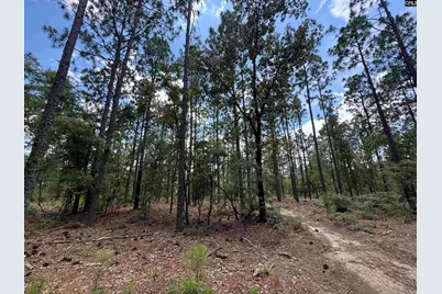 1465 6 Highway, Gaston, SC 29053 - Photo 77