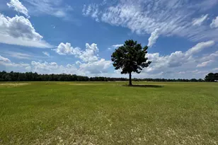 1465 6 Hwy, Gaston, SC 29053 - Photo 1
