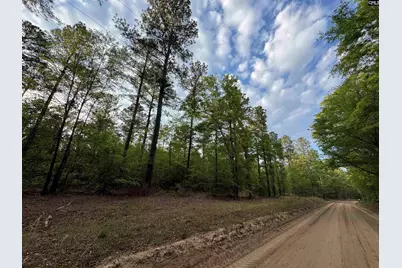 1465 6 Highway, Gaston, SC 29053 - Photo 47